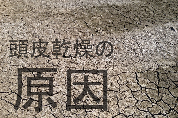 頭皮が乾燥してしまう原因