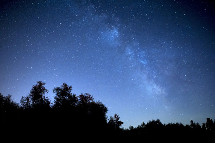 ホホバオイルを頭皮に使うのは「夜」を重点的に!
