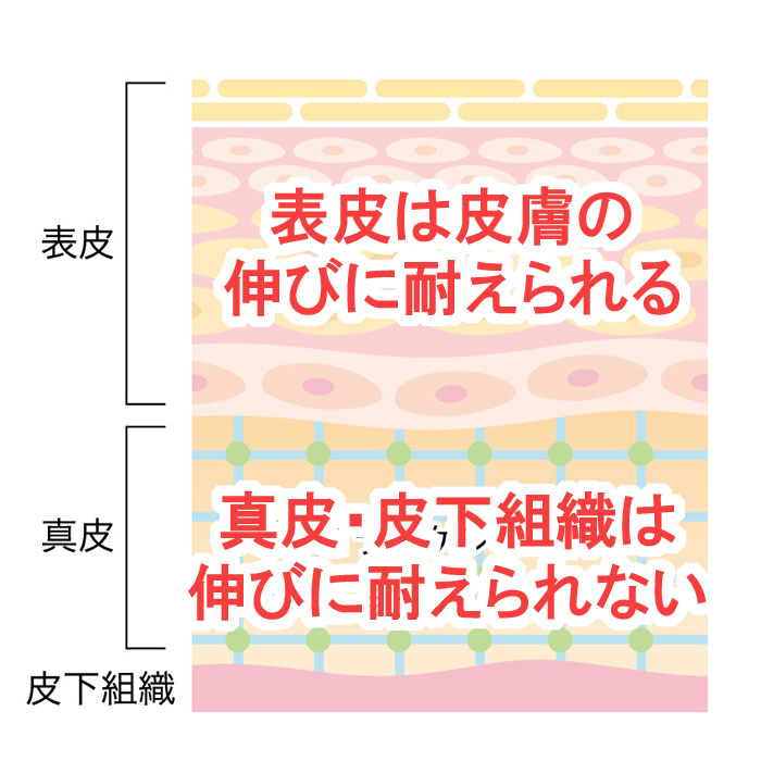 皮膚の伸び