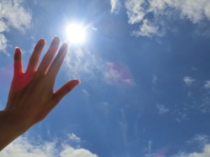 ホホバオイルをつけると紫外線からも髪の毛を守れるのか?